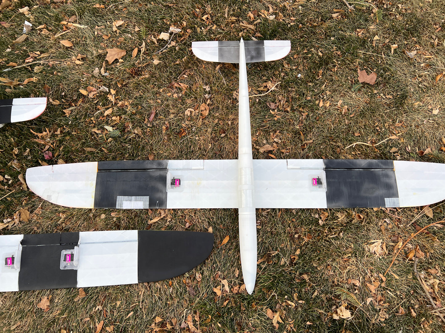 Juicy DS - full Airframe for dynamic soaring