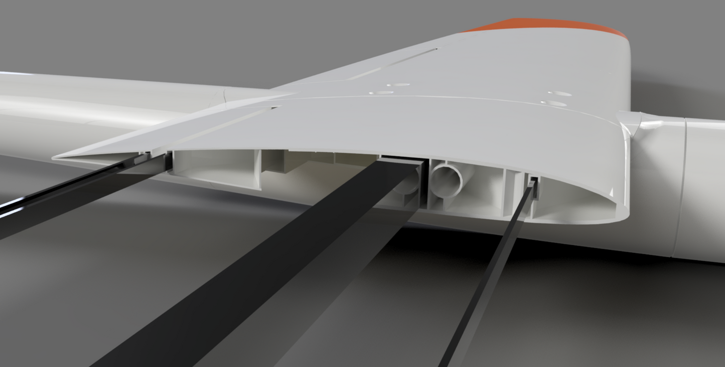 Juicy DS - full Airframe for dynamic soaring