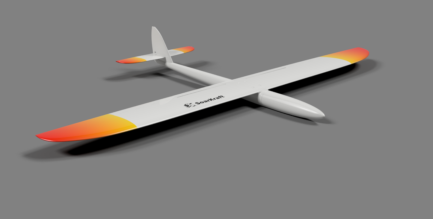 Juicy DS - full Airframe for dynamic soaring