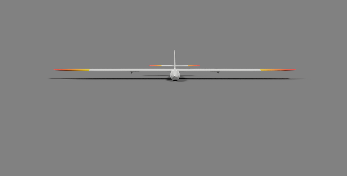 Juicy DS - full Airframe for dynamic soaring