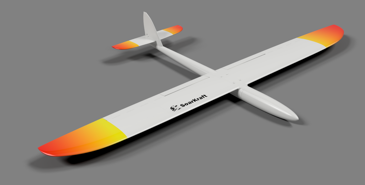 Juicy DS - full Airframe for dynamic soaring