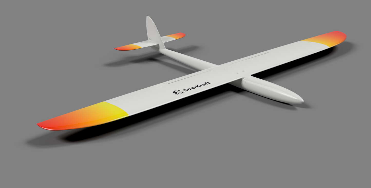 Juicy DS - full Airframe for dynamic soaring