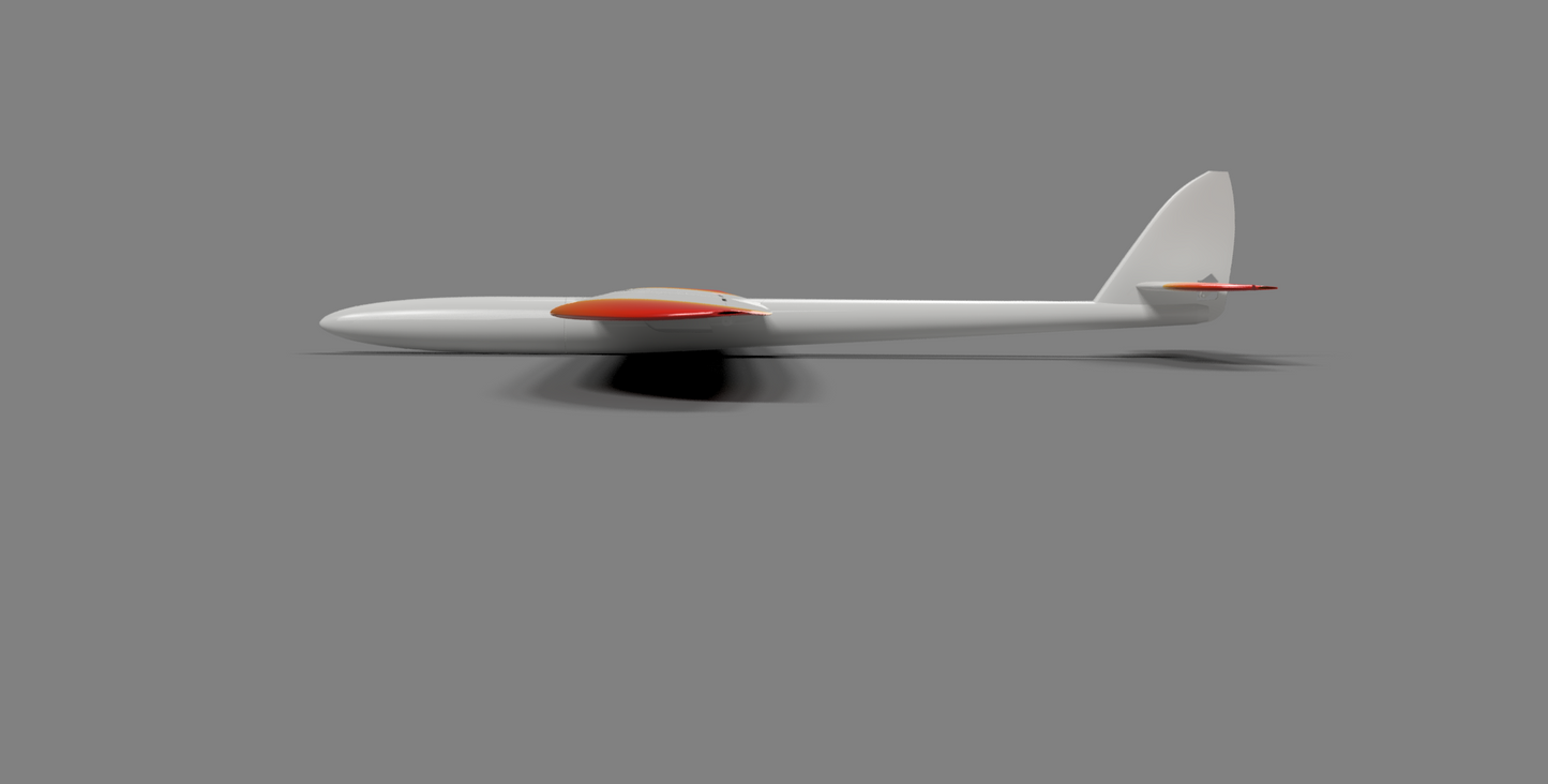 Juicy DS - full Airframe for dynamic soaring