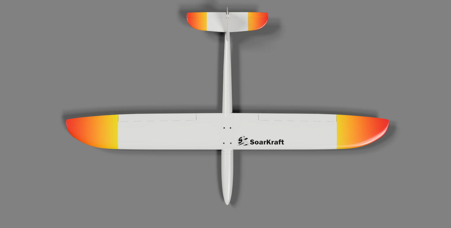 Juicy DS - full Airframe for dynamic soaring