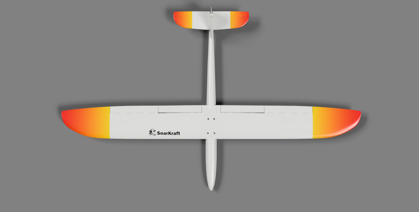 Juicy DS - full Airframe for dynamic soaring