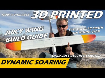 Juicy DS - full Airframe for dynamic soaring